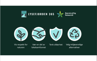 Besøksvett i Lysefjorden
